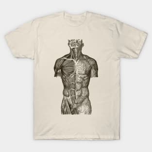 Medical T-Shirt